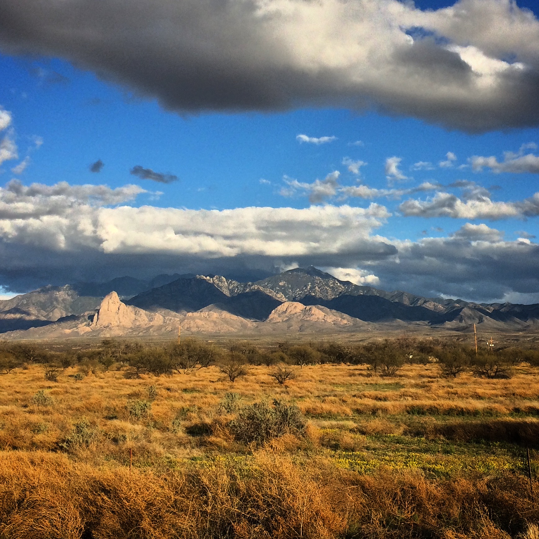 Mt. Wrightson from Amado, Arizona, 2019