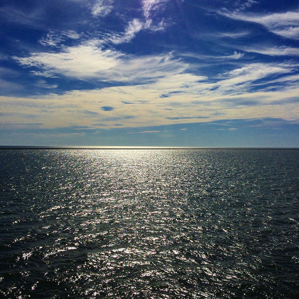 Deleware Bay, 2019